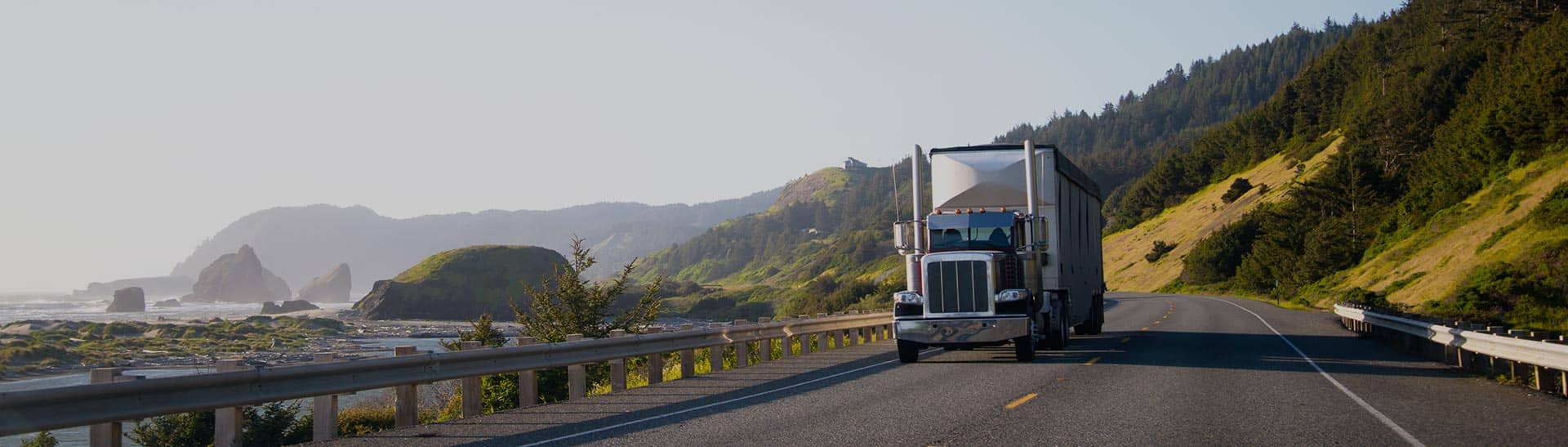  Trucking Company, Freight Forwarding Services and Long Haul Trucking